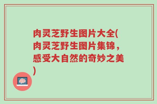 肉灵芝野生图片大全(肉灵芝野生图片集锦,感受大自然的奇妙之美)-第1张图片-超越 肉灵芝野生图片大全(肉灵芝野生图片集锦,感受大自然的奇妙之美)-第1张图片-超越