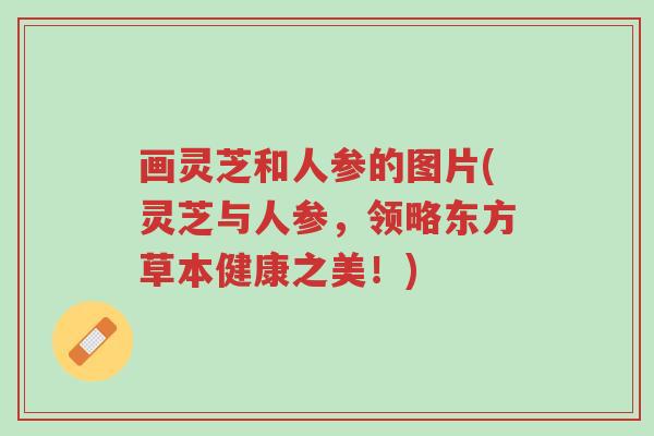 画灵芝和人参的图片(灵芝与人参，领略东方草本健康之美！)-第1张图片-超越