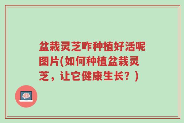 盆栽灵芝咋种植好活呢图片(如何种植盆栽灵芝,让它健康生长?)-第1张图片-超越 盆栽灵芝咋种植好活呢图片(如何种植盆栽灵芝,让它健康生长?)-第1张图片-超越