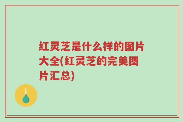 红灵芝是什么样的图片大全(红灵芝的完美图片汇总)-第1张图片-超越 红灵芝是什么样的图片大全(红灵芝的完美图片汇总)-第1张图片-超越