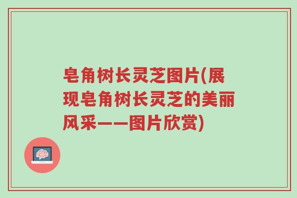 皂角树长灵芝图片(展现皂角树长灵芝的美丽风采——图片欣赏)-第1张图片-超越 皂角树长灵芝图片(展现皂角树长灵芝的美丽风采——图片欣赏)-第1张图片-超越