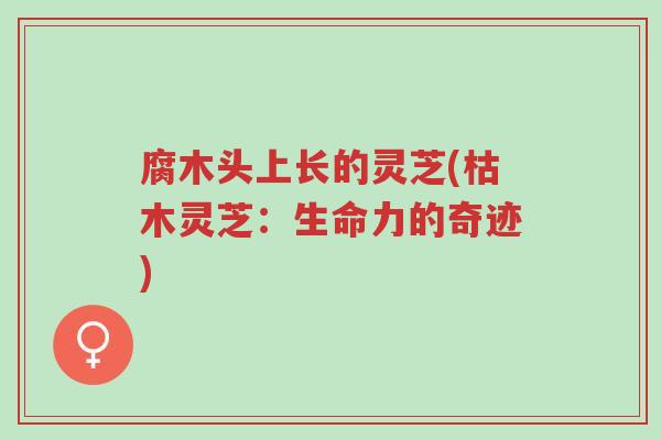 腐木头上长的灵芝(枯木灵芝：生命力的奇迹)-第1张图片-超越
