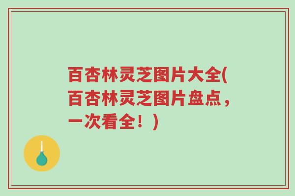 百杏林灵芝图片大全(百杏林灵芝图片盘点,一次看全!)-第1张图片-超越 百杏林灵芝图片大全(百杏林灵芝图片盘点,一次看全!)-第1张图片-超越