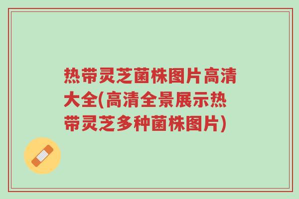 热带灵芝菌株图片高清大全(高清全景展示热带灵芝多种菌株图片)-第1张图片-超越