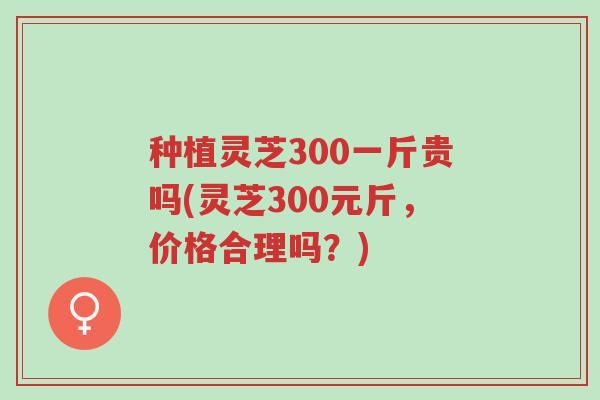 种植灵芝300一斤贵吗(灵芝300元斤,价格合理吗?)-第1张图片-超越 种植灵芝300一斤贵吗(灵芝300元斤,价格合理吗?)-第1张图片-超越