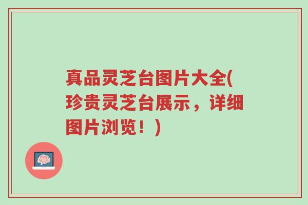 真品灵芝台图片大全(珍贵灵芝台展示,详细图片浏览!)-第1张图片-超越 真品灵芝台图片大全(珍贵灵芝台展示,详细图片浏览!)-第1张图片-超越