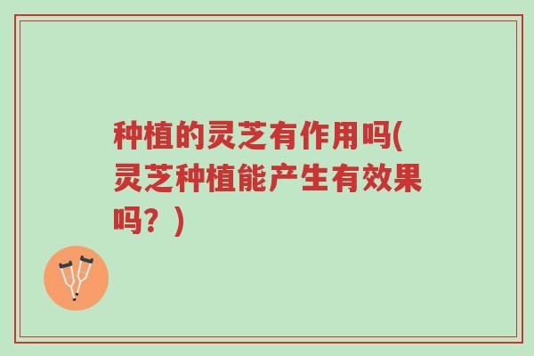 种植的灵芝有作用吗(灵芝种植能产生有效果吗?)-第1张图片-超越 种植的灵芝有作用吗(灵芝种植能产生有效果吗?)-第1张图片-超越