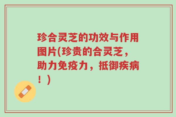 珍合灵芝的功效与作用图片(珍贵的合灵芝,助力免疫力,抵御疾病!)-第1张图片-超越 珍合灵芝的功效与作用图片(珍贵的合灵芝,助力免疫力,抵御疾病!)-第1张图片-超越