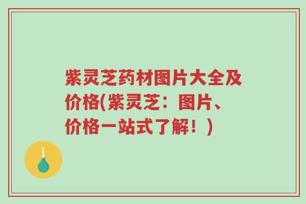 紫灵芝药材图片大全及价格(紫灵芝:图片、价格一站式了解!)-第1张图片-超越 紫灵芝药材图片大全及价格(紫灵芝:图片、价格一站式了解!)-第1张图片-超越