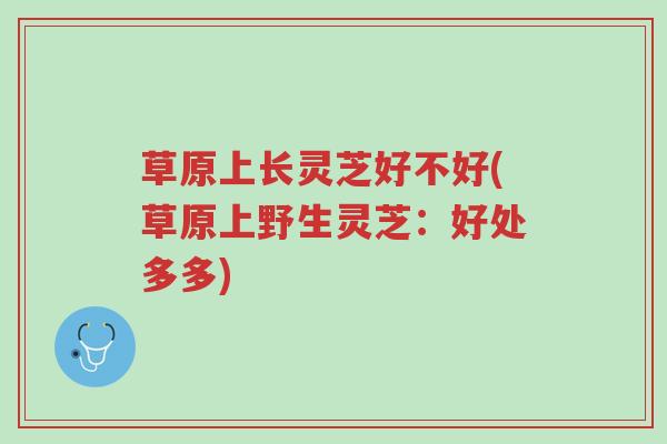 草原上长灵芝好不好(草原上野生灵芝:好处多多)-第1张图片-超越 草原上长灵芝好不好(草原上野生灵芝:好处多多)-第1张图片-超越