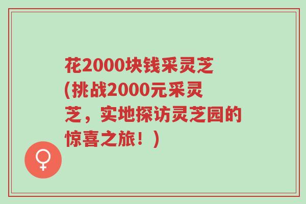 花2000块钱采灵芝(挑战2000元采灵芝,实地探访灵芝园的惊喜之旅!)-第1张图片-超越 花2000块钱采灵芝(挑战2000元采灵芝,实地探访灵芝园的惊喜之旅!)-第1张图片-超越