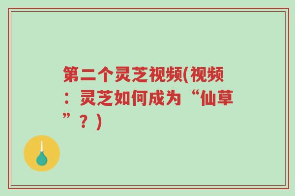 第二个灵芝视频(视频:灵芝如何成为“仙草”?)-第1张图片-超越 第二个灵芝视频(视频:灵芝如何成为“仙草”?)-第1张图片-超越