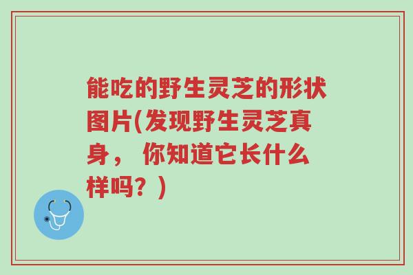 能吃的野生灵芝的形状图片(发现野生灵芝真身, 你知道它长什么样吗?)-第1张图片-超越 能吃的野生灵芝的形状图片(发现野生灵芝真身, 你知道它长什么样吗?)-第1张图片-超越