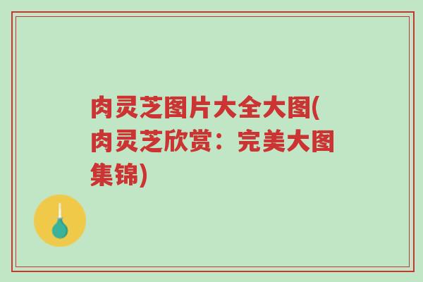 肉灵芝图片大全大图(肉灵芝欣赏:完美大图集锦)-第1张图片-超越 肉灵芝图片大全大图(肉灵芝欣赏:完美大图集锦)-第1张图片-超越