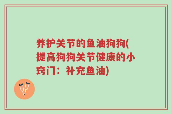 养护关节的鱼油狗狗(提高狗狗关节健康的小窍门:补充鱼油)-第1张图片-超越 养护关节的鱼油狗狗(提高狗狗关节健康的小窍门:补充鱼油)-第1张图片-超越