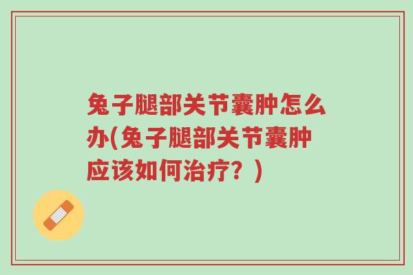 兔子腿部关节囊肿怎么办(兔子腿部关节囊肿应该如何治疗?)-第1张图片-超越 兔子腿部关节囊肿怎么办(兔子腿部关节囊肿应该如何治疗?)-第1张图片-超越