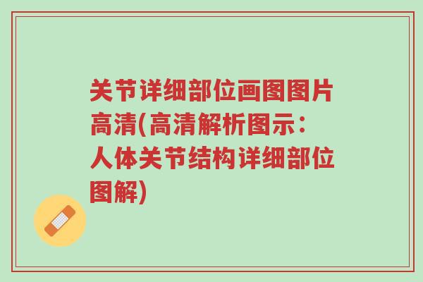 关节详细部位画图图片高清(高清解析图示：人体关节结构详细部位图解)-第1张图片-超越