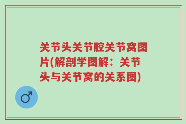 关节头关节腔关节窝图片(解剖学图解:关节头与关节窝的关系图)-第1张图片-超越 关节头关节腔关节窝图片(解剖学图解:关节头与关节窝的关系图)-第1张图片-超越