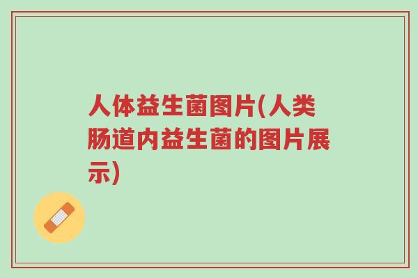 人体益生菌图片(人类肠道内益生菌的图片展示)-第1张图片-超越 人体益生菌图片(人类肠道内益生菌的图片展示)-第1张图片-超越