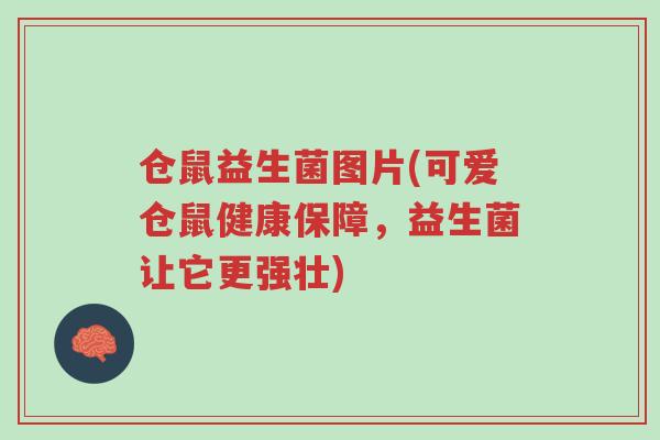 仓鼠益生菌图片(可爱仓鼠健康保障,益生菌让它更强壮)-第1张图片-超越 仓鼠益生菌图片(可爱仓鼠健康保障,益生菌让它更强壮)-第1张图片-超越