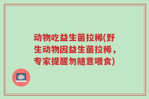 动物吃益生菌拉稀(野生动物因益生菌拉稀,专家提醒勿随意喂食)-第1张图片-超越 动物吃益生菌拉稀(野生动物因益生菌拉稀,专家提醒勿随意喂食)-第1张图片-超越