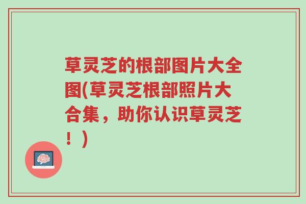草灵芝的根部图片大全图(草灵芝根部照片大合集,助你认识草灵芝!)-第1张图片-超越 草灵芝的根部图片大全图(草灵芝根部照片大合集,助你认识草灵芝!)-第1张图片-超越