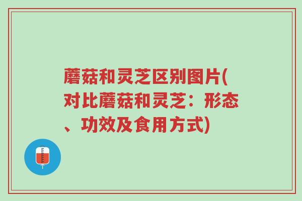 蘑菇和灵芝区别图片(对比蘑菇和灵芝:形态、功效及食用方式)-第1张图片-超越 蘑菇和灵芝区别图片(对比蘑菇和灵芝:形态、功效及食用方式)-第1张图片-超越
