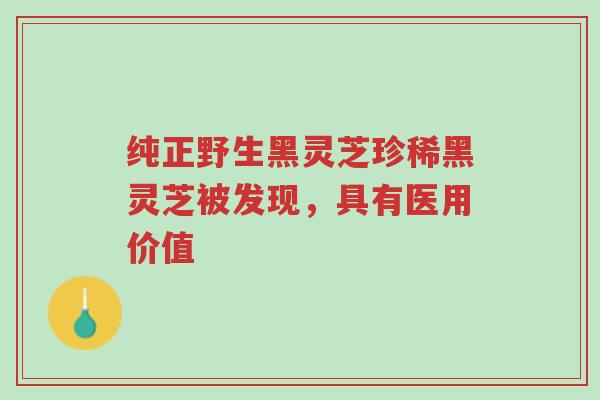 纯正野生黑灵芝珍稀黑灵芝被发现，具有医用价值-第1张图片-超越
