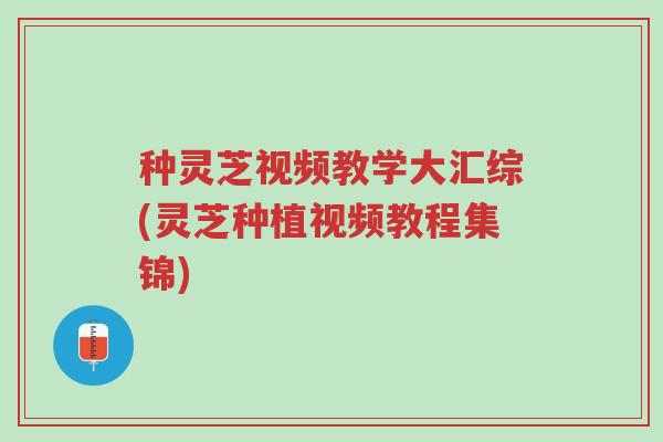 种灵芝视频教学大汇综(灵芝种植视频教程集锦)-第1张图片-超越 种灵芝视频教学大汇综(灵芝种植视频教程集锦)-第1张图片-超越