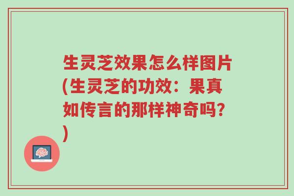 生灵芝效果怎么样图片(生灵芝的功效:果真如传言的那样神奇吗?)-第1张图片-超越 生灵芝效果怎么样图片(生灵芝的功效:果真如传言的那样神奇吗?)-第1张图片-超越