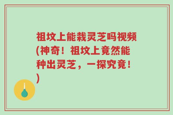 祖坟上能栽灵芝吗视频(神奇!祖坟上竟然能种出灵芝,一探究竟!)-第1张图片-超越 祖坟上能栽灵芝吗视频(神奇!祖坟上竟然能种出灵芝,一探究竟!)-第1张图片-超越