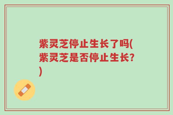 紫灵芝停止生长了吗(紫灵芝是否停止生长?)-第1张图片-超越 紫灵芝停止生长了吗(紫灵芝是否停止生长?)-第1张图片-超越