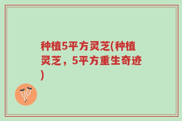 种植5平方灵芝(种植灵芝,5平方重生奇迹)-第1张图片-超越 种植5平方灵芝(种植灵芝,5平方重生奇迹)-第1张图片-超越