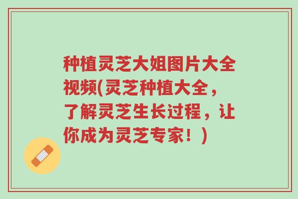 种植灵芝大姐图片大全视频(灵芝种植大全,了解灵芝生长过程,让你成为灵芝专家!)-第1张图片-超越 种植灵芝大姐图片大全视频(灵芝种植大全,了解灵芝生长过程,让你成为灵芝专家!)-第1张图片-超越