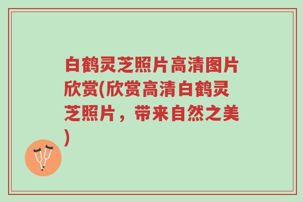白鹤灵芝照片高清图片欣赏(欣赏高清白鹤灵芝照片,带来自然之美)-第1张图片-超越 白鹤灵芝照片高清图片欣赏(欣赏高清白鹤灵芝照片,带来自然之美)-第1张图片-超越