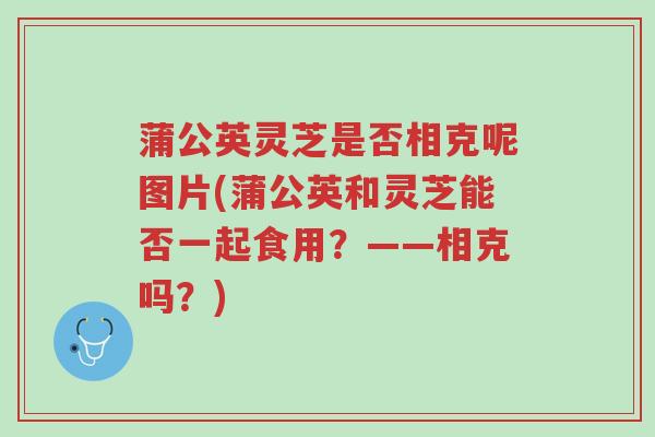 蒲公英灵芝是否相克呢图片(蒲公英和灵芝能否一起食用?——相克吗?)-第1张图片-超越 蒲公英灵芝是否相克呢图片(蒲公英和灵芝能否一起食用?——相克吗?)-第1张图片-超越