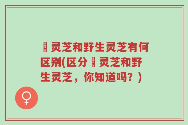 艼灵芝和野生灵芝有何区别(区分艼灵芝和野生灵芝,你知道吗?)-第1张图片-超越 艼灵芝和野生灵芝有何区别(区分艼灵芝和野生灵芝,你知道吗?)-第1张图片-超越