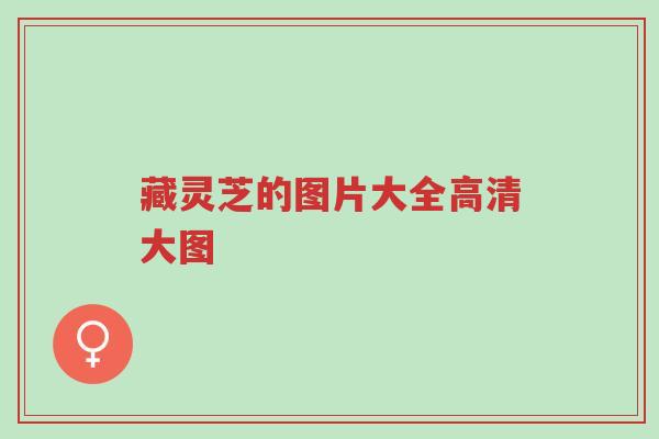藏灵芝的图片大全高清大图-第1张图片-超越 藏灵芝的图片大全高清大图-第1张图片-超越