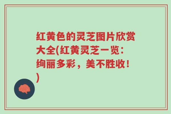 红黄色的灵芝图片欣赏大全(红黄灵芝一览:绚丽多彩,美不胜收!)-第1张图片-超越 红黄色的灵芝图片欣赏大全(红黄灵芝一览:绚丽多彩,美不胜收!)-第1张图片-超越