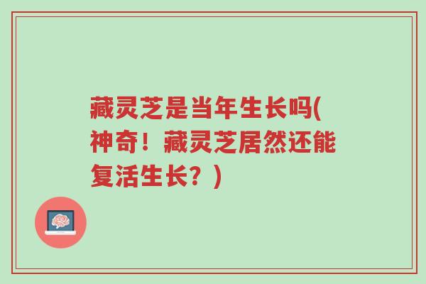 藏灵芝是当年生长吗(神奇!藏灵芝居然还能复活生长?)-第1张图片-超越 藏灵芝是当年生长吗(神奇!藏灵芝居然还能复活生长?)-第1张图片-超越