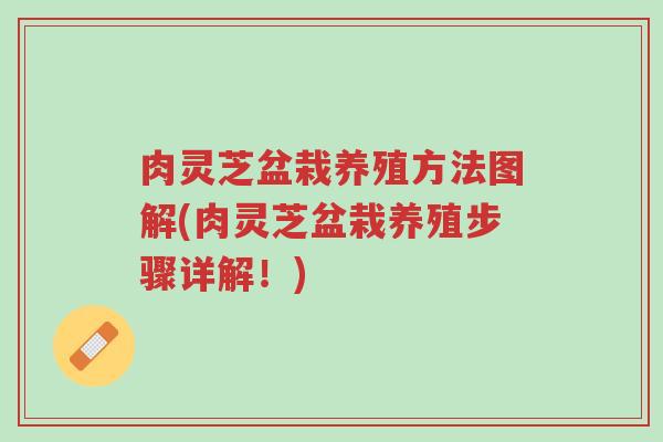 肉灵芝盆栽养殖方法图解(肉灵芝盆栽养殖步骤详解!)-第1张图片-超越 肉灵芝盆栽养殖方法图解(肉灵芝盆栽养殖步骤详解!)-第1张图片-超越