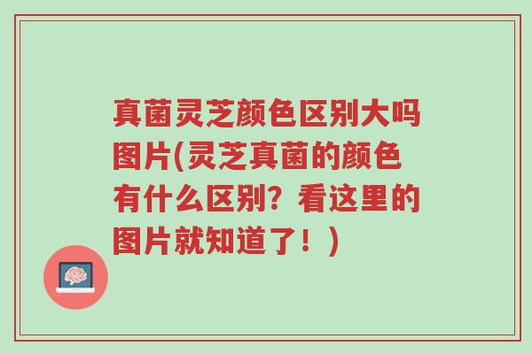 真菌灵芝颜色区别大吗图片(灵芝真菌的颜色有什么区别?看这里的图片就知道了!)-第1张图片-超越 真菌灵芝颜色区别大吗图片(灵芝真菌的颜色有什么区别?看这里的图片就知道了!)-第1张图片-超越
