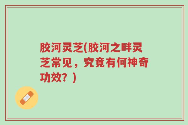 胶河灵芝(胶河之畔灵芝常见,究竟有何神奇功效?)-第1张图片-超越 胶河灵芝(胶河之畔灵芝常见,究竟有何神奇功效?)-第1张图片-超越