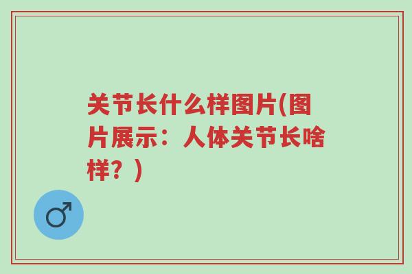 关节长什么样图片(图片展示:人体关节长啥样?)-第1张图片-超越 关节长什么样图片(图片展示:人体关节长啥样?)-第1张图片-超越