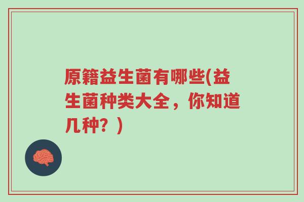 原籍益生菌有哪些(益生菌种类大全,你知道几种?)-第1张图片-超越 原籍益生菌有哪些(益生菌种类大全,你知道几种?)-第1张图片-超越