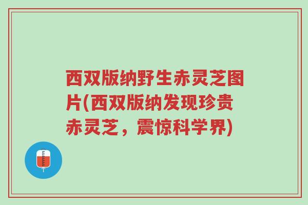 西双版纳野生赤灵芝图片(西双版纳发现珍贵赤灵芝,震惊科学界)-第1张图片-超越 西双版纳野生赤灵芝图片(西双版纳发现珍贵赤灵芝,震惊科学界)-第1张图片-超越