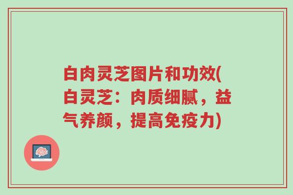 白肉灵芝图片和功效(白灵芝:肉质细腻,益气养颜,提高免疫力)-第1张图片-超越 白肉灵芝图片和功效(白灵芝:肉质细腻,益气养颜,提高免疫力)-第1张图片-超越
