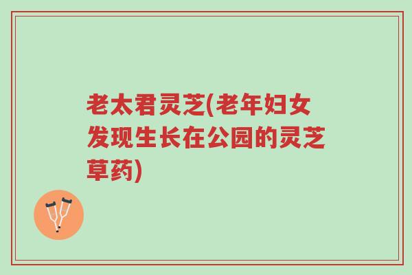 老太君灵芝(老年妇女发现生长在公园的灵芝草药)-第1张图片-超越 老太君灵芝(老年妇女发现生长在公园的灵芝草药)-第1张图片-超越