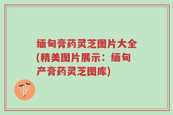 缅甸膏药灵芝图片大全(精美图片展示:缅甸产膏药灵芝图库)-第1张图片-超越 缅甸膏药灵芝图片大全(精美图片展示:缅甸产膏药灵芝图库)-第1张图片-超越