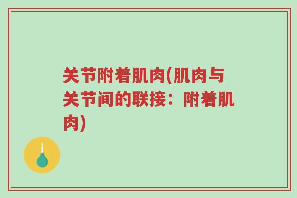 关节附着肌肉(肌肉与关节间的联接:附着肌肉)-第1张图片-超越 关节附着肌肉(肌肉与关节间的联接:附着肌肉)-第1张图片-超越